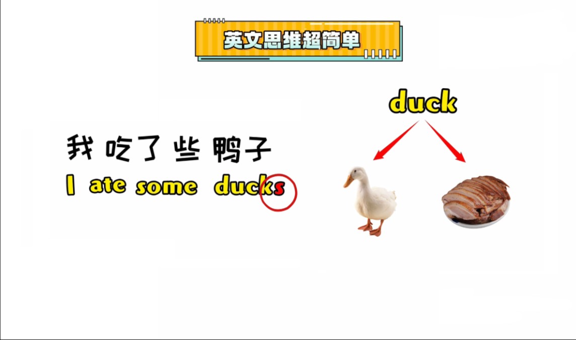 我吃了些鸭子是用duck还是ducks呢?哔哩哔哩bilibili