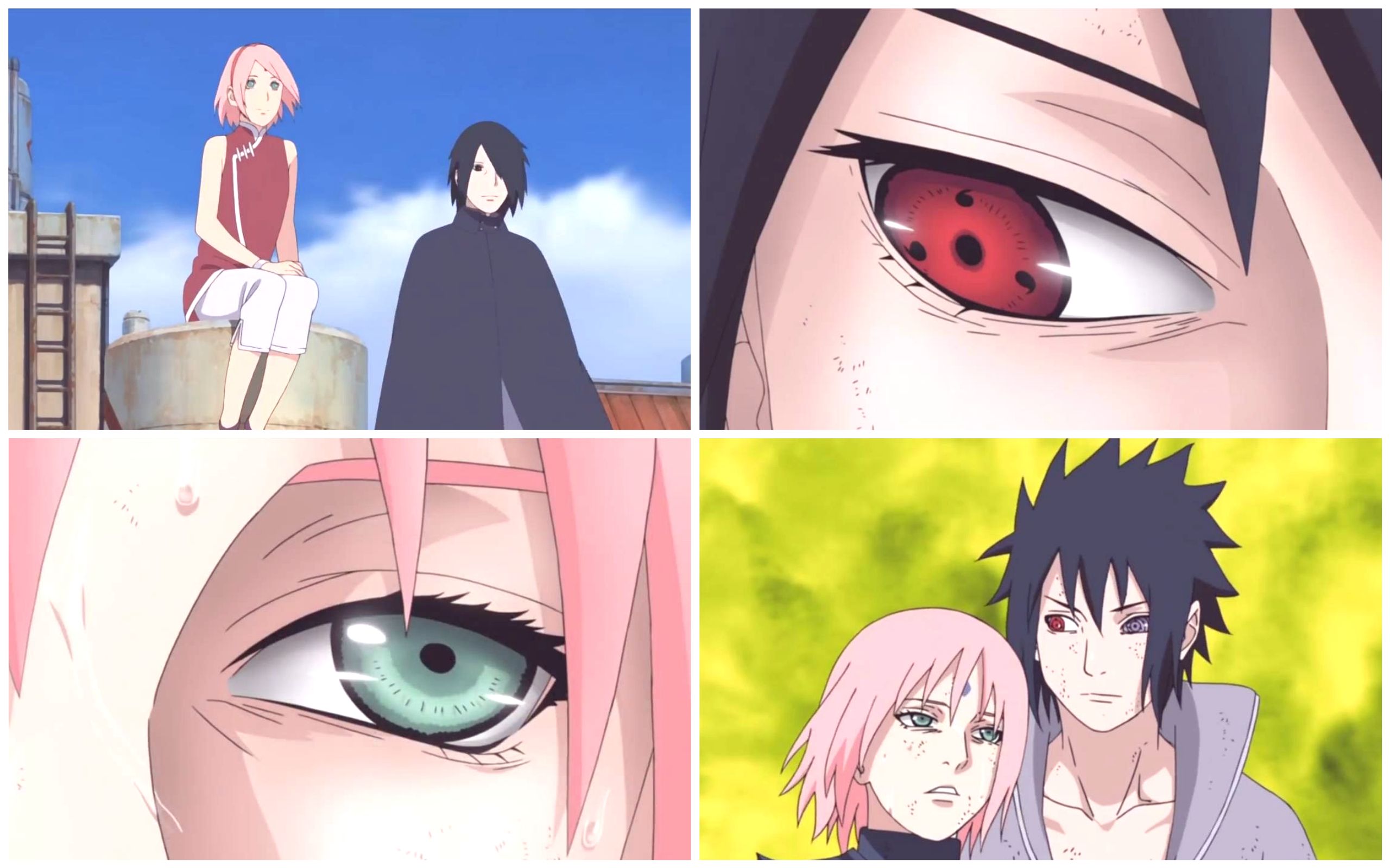 【樱7815佐/搬运】所爱隔山海 山海皆可平!