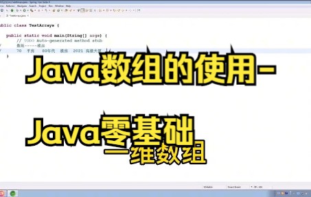 【java面试】Java数组的使用Java零基础,职场小白必备.哔哩哔哩bilibili