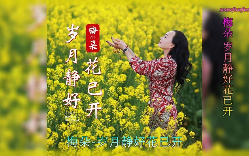 【岁月静好花已开】演唱 :梅朵