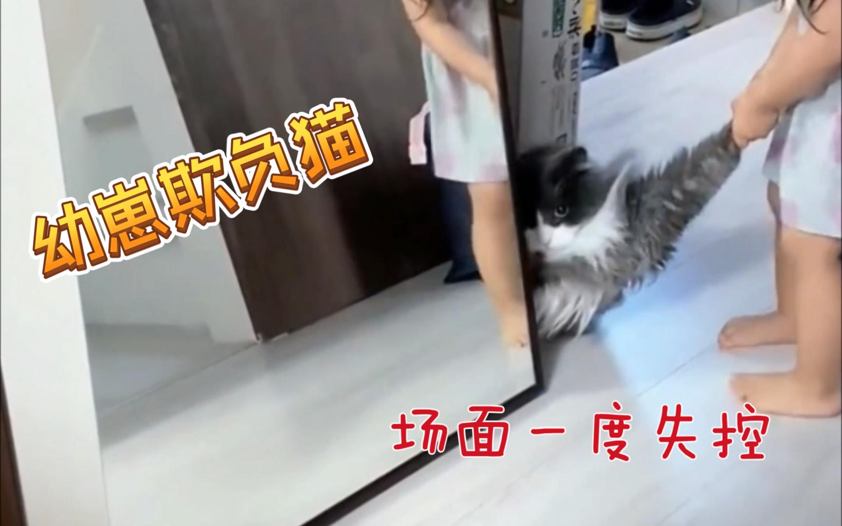 家里有小孩的,千万别养猫!对猫不好!哔哩哔哩bilibili