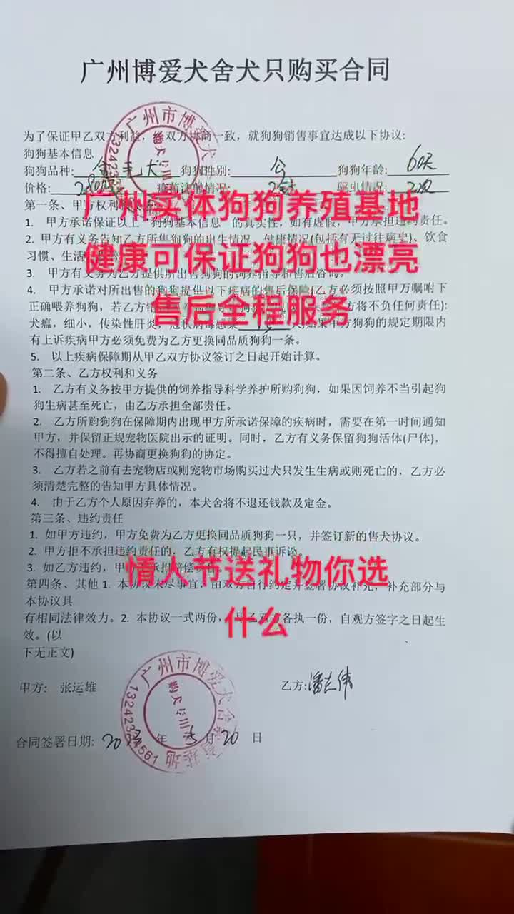 广州荔湾越秀海珠天河白云黄埔番禺花都萝岗附近犬舍狗场养殖基地哔哩哔哩bilibili