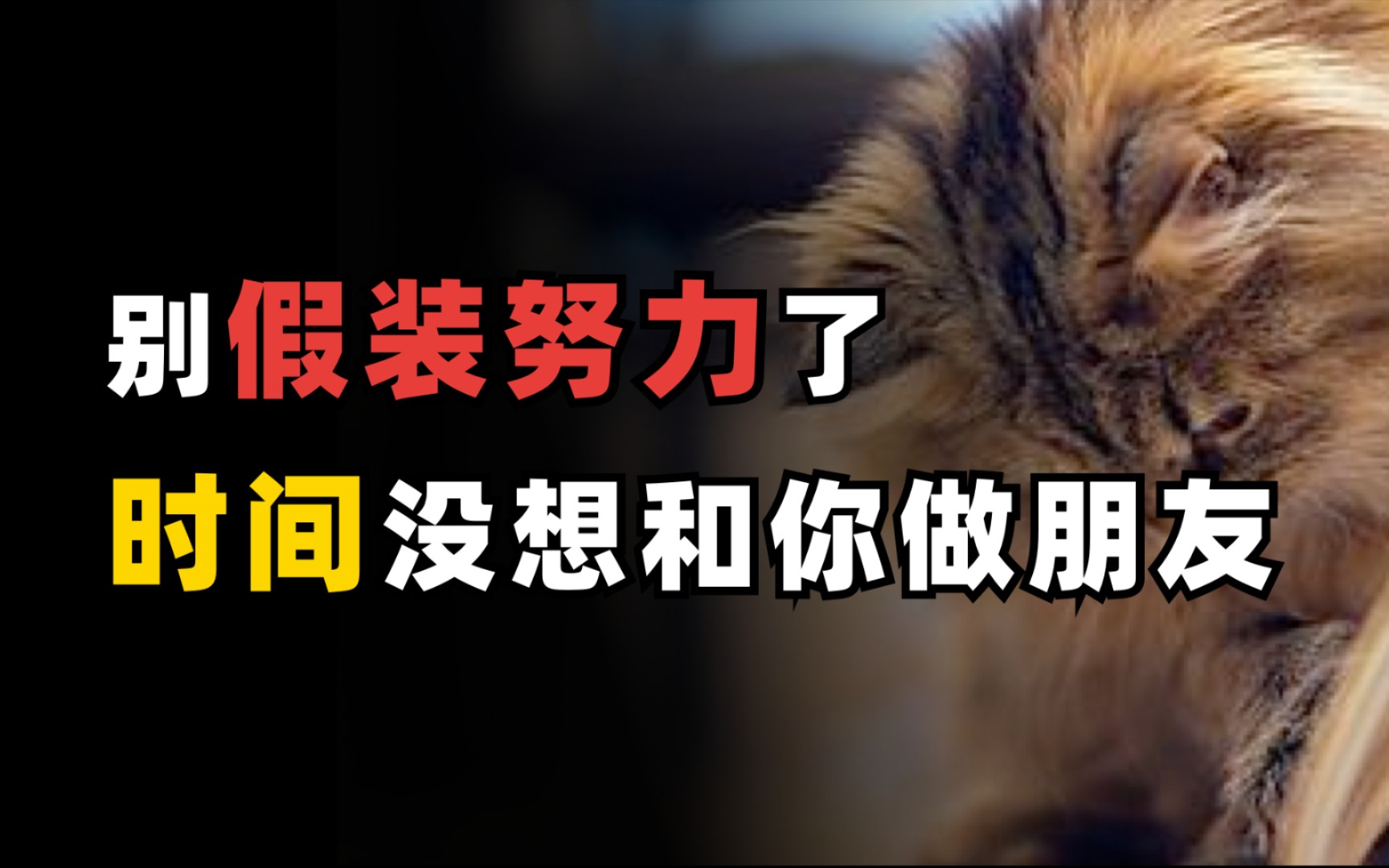 别假装努力了,时间没想和你做朋友