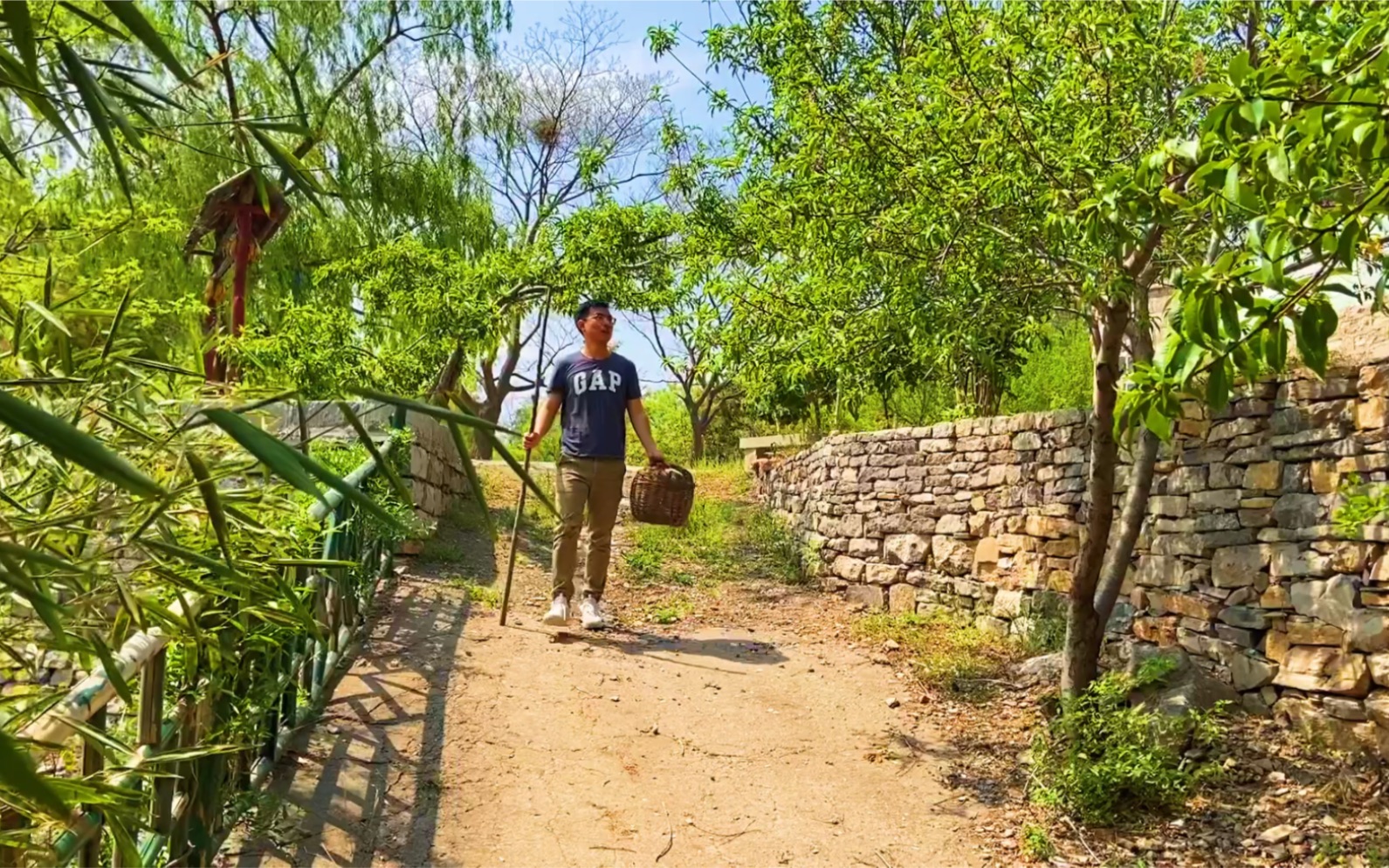 [图]你们村头是否也有几棵槐树，每到这个季节花香四溢，放学路又总能闻到谁家做了槐花饼，还记得那时候回家第一件事都是干什么吗？