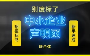 Download Video: 招投标书的中小企业声明函（联合体）填写方法