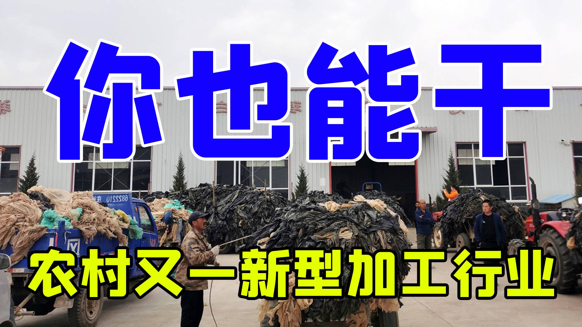 农村“新型”加工行业,投资5800元一年赚38万,操作简单,利润高哔哩哔哩bilibili