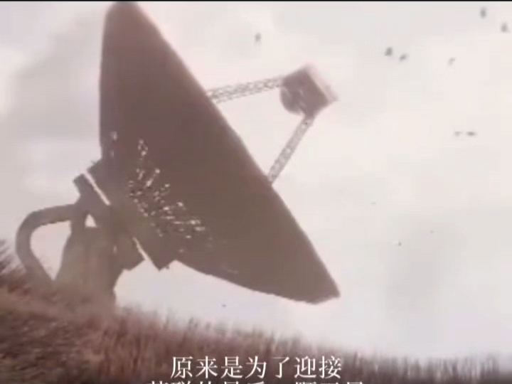 “别返航，那不是家”