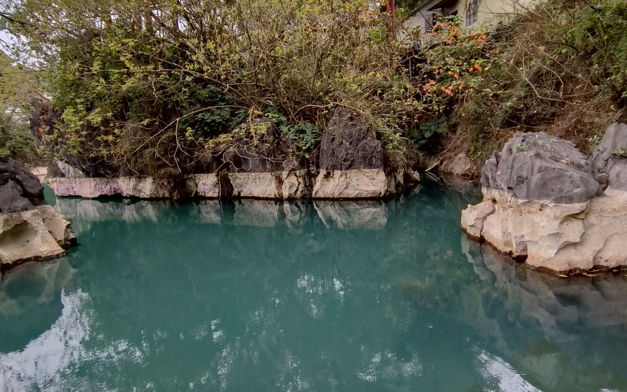 罗波潭的水还是很青捏