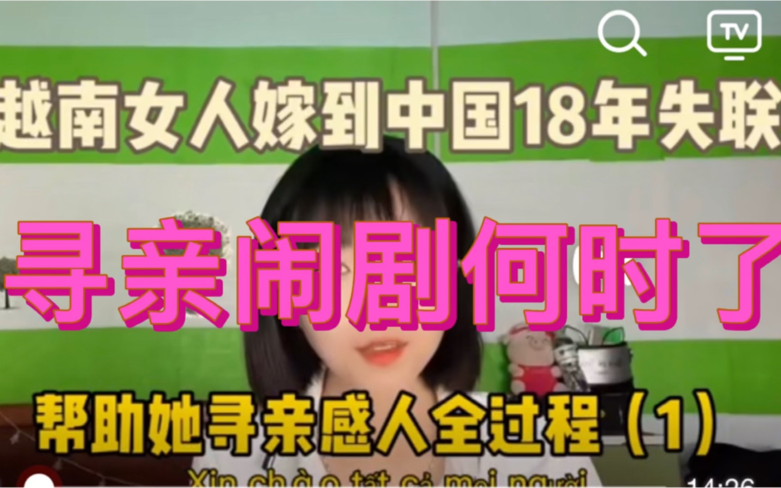 越南桃故娘阿梅寻亲系统剧上演的如火如荼