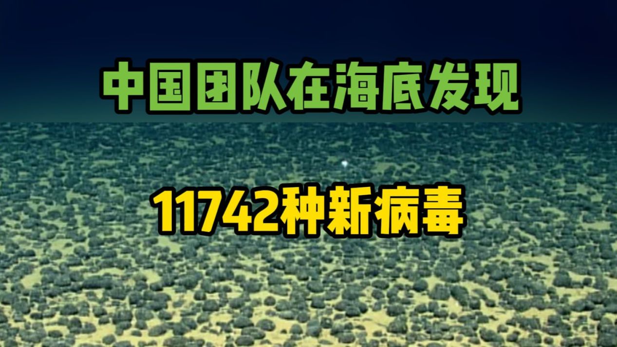 中国团队在海底发现11742种新病毒 超过99%属于新发现