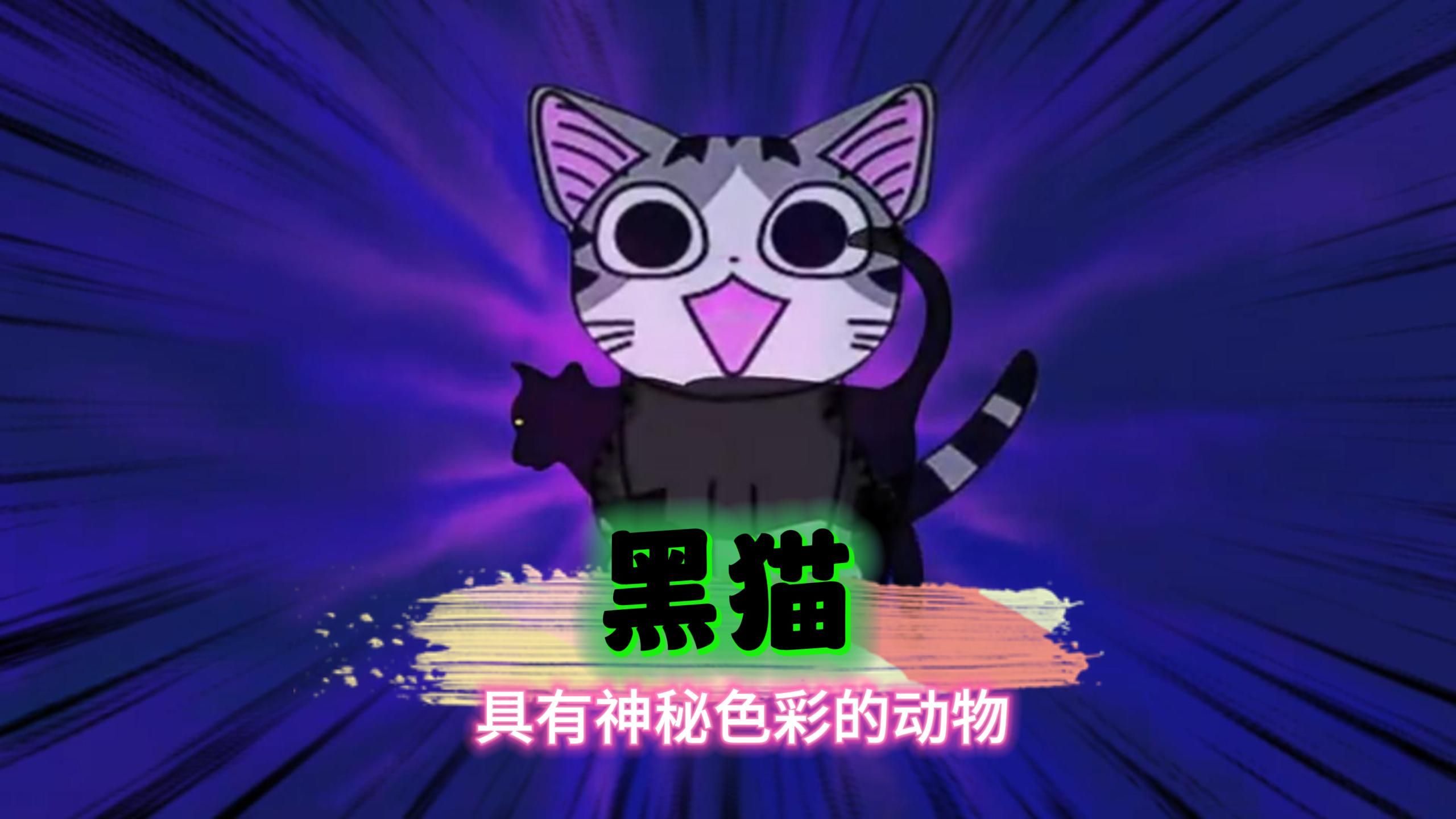 黑猫奇谭:诡异迷人的民间故事