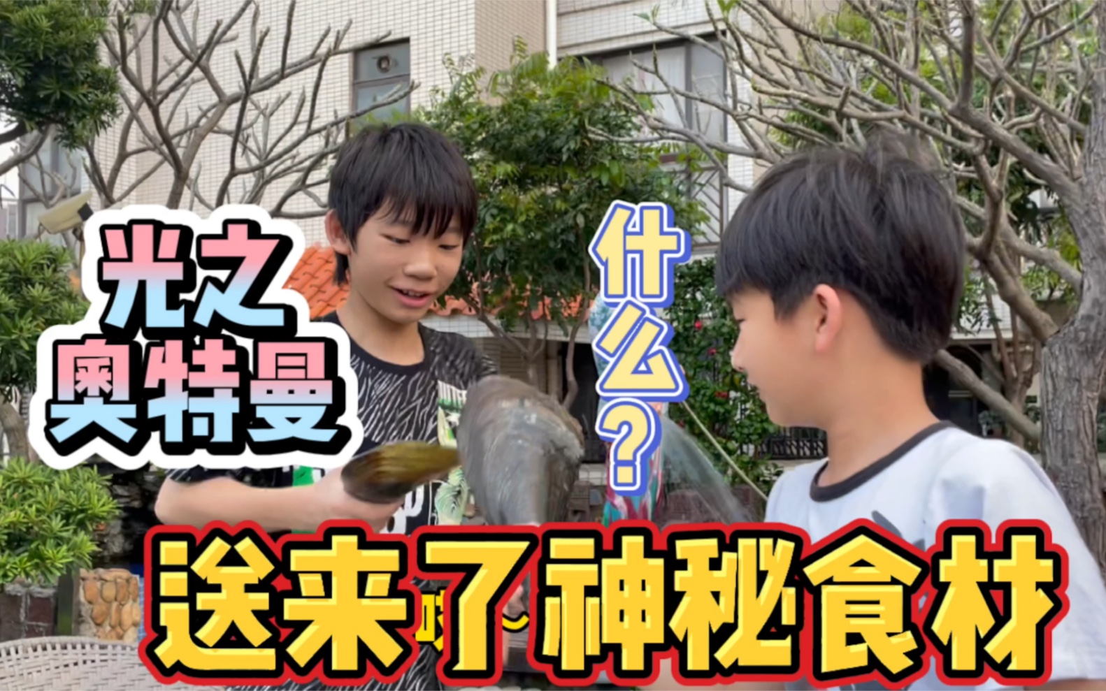 光之奥特曼居然送来了神秘食材,朱老八出于好奇心,来尝试一下!