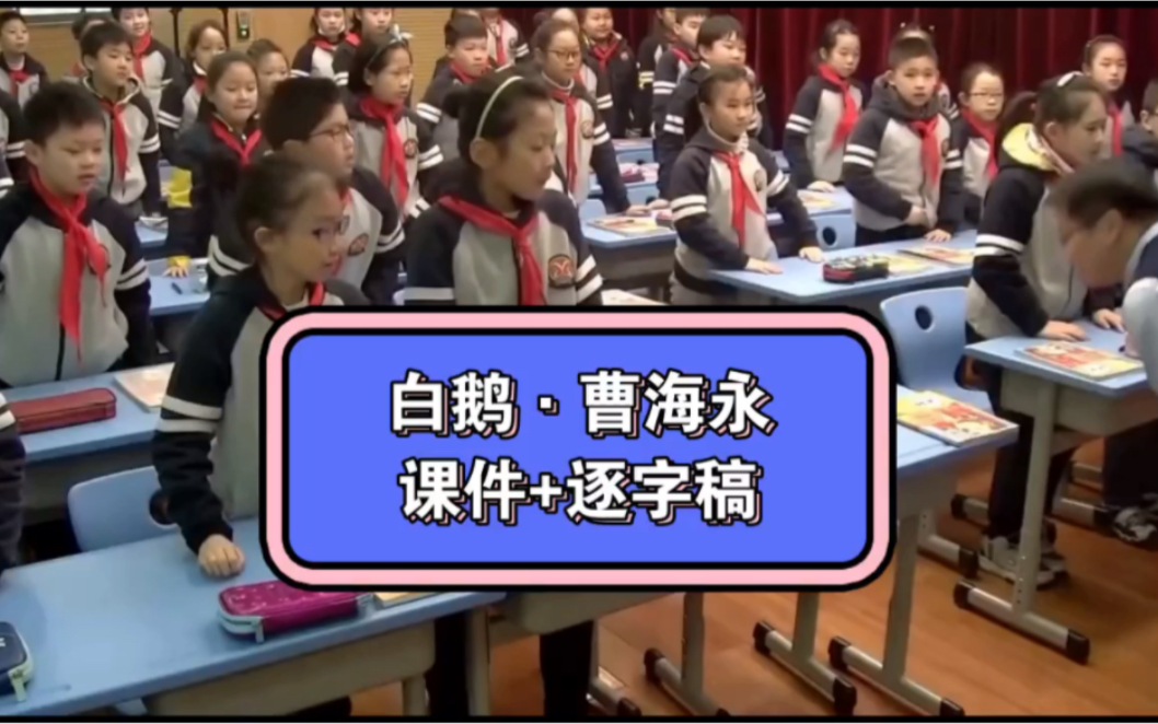 四年级下册小学语文公开课《白鹅》(课件+逐字稿)曹海永,课堂实录.哔哩哔哩bilibili