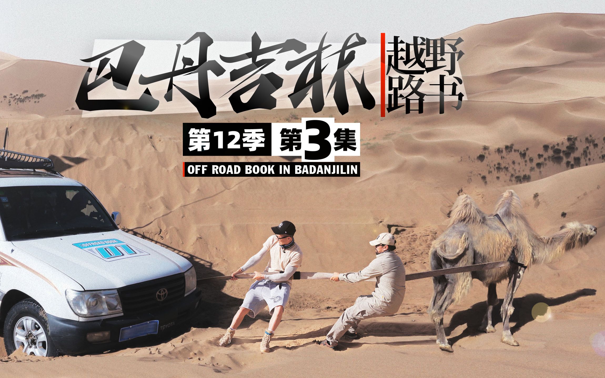 《越野路书》巴丹吉林03骆驼拉车哔哩哔哩bilibili