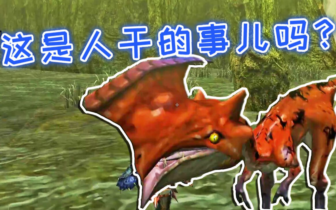 红速龙王今年遇到最粪的猎人