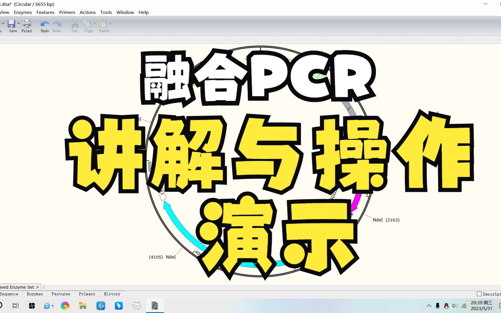 多片段融合PCR讲解与操作演示哔哩哔哩bilibili