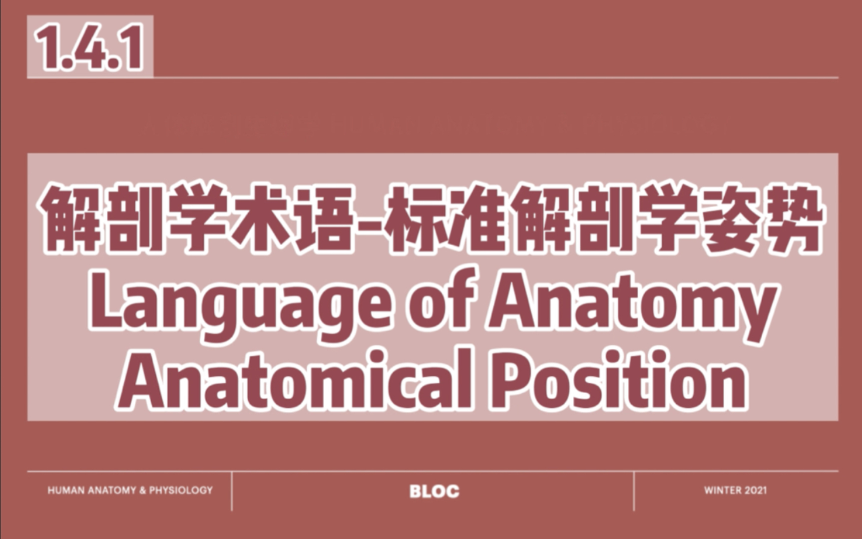 【中英双语国际课人体解剖生理学】解剖学术语和标准解剖学姿势你都知道吗?哔哩哔哩bilibili