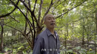 大叔不种粮食爱种草，这草却救人一命 #记录真实生活