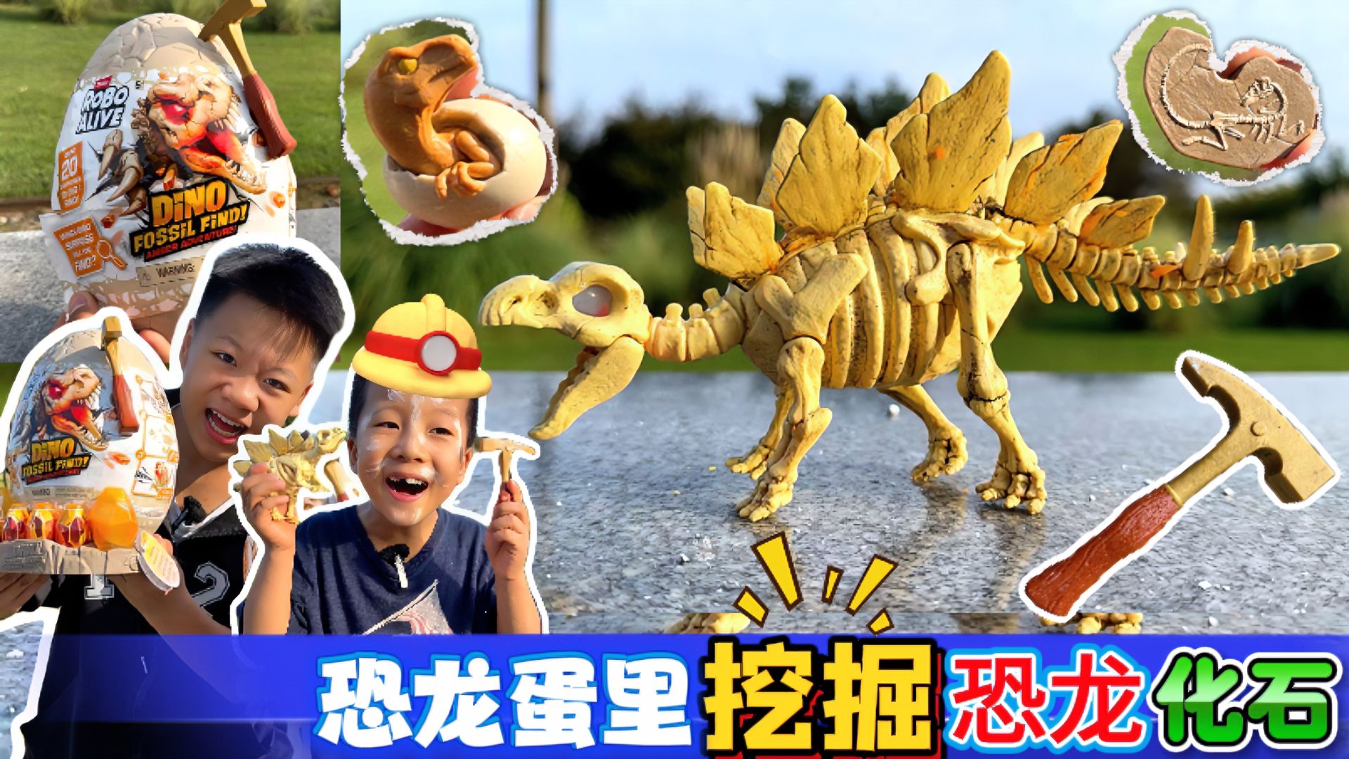 树上的恐龙蛋，里面装着恐龙化石