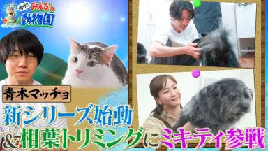 非売品★新品❤️嵐★寝袋★当選品★UHA味覚糖★A賞★ハマ～る?★相葉雅紀★限定 ❤️非売品☆嵐☆寝袋☆当選品☆UHA味覚糖☆A賞☆ハマ～る