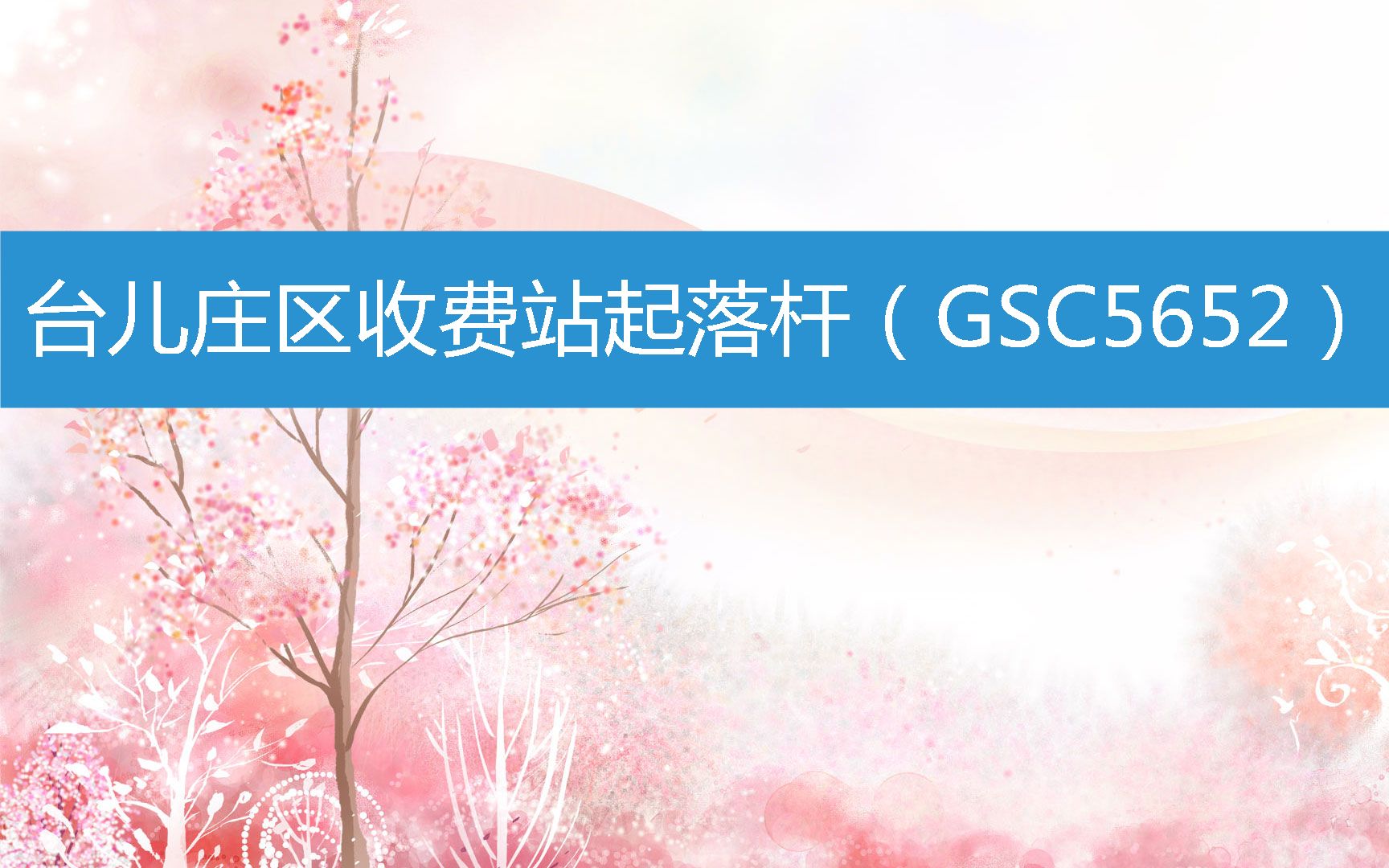 台儿庄区收费站起落杆(GSC5652) (2023年3月10日13时29分40秒已更新)哔哩哔哩bilibili