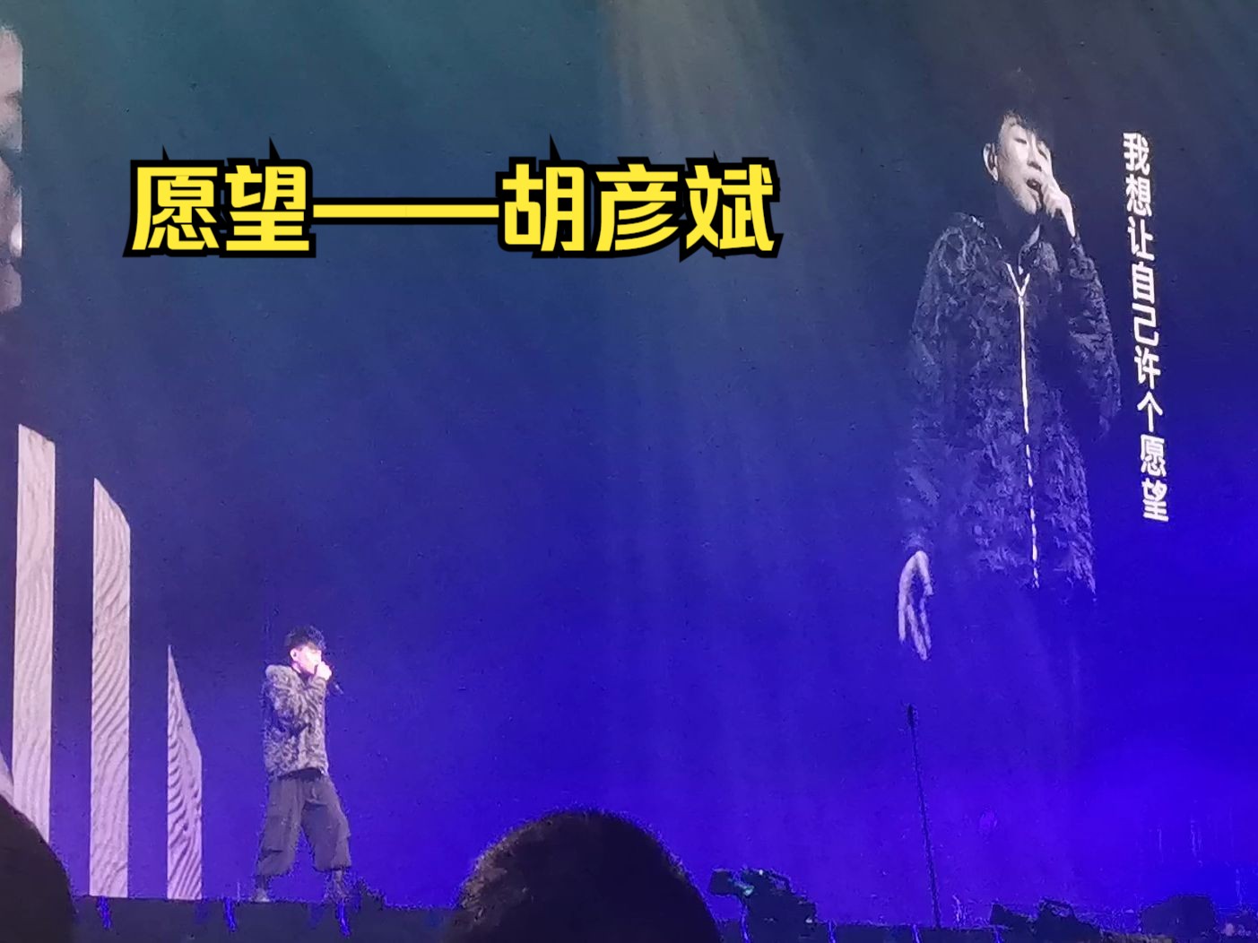 《愿望》现场 胡彦斌 2024.4.6深圳演唱会内场