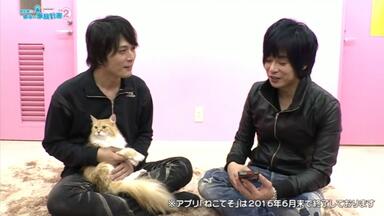 高桥广树】遊佐浩二の初代モモっとトークCD 高橋広樹盤_哔哩哔哩_bilibili