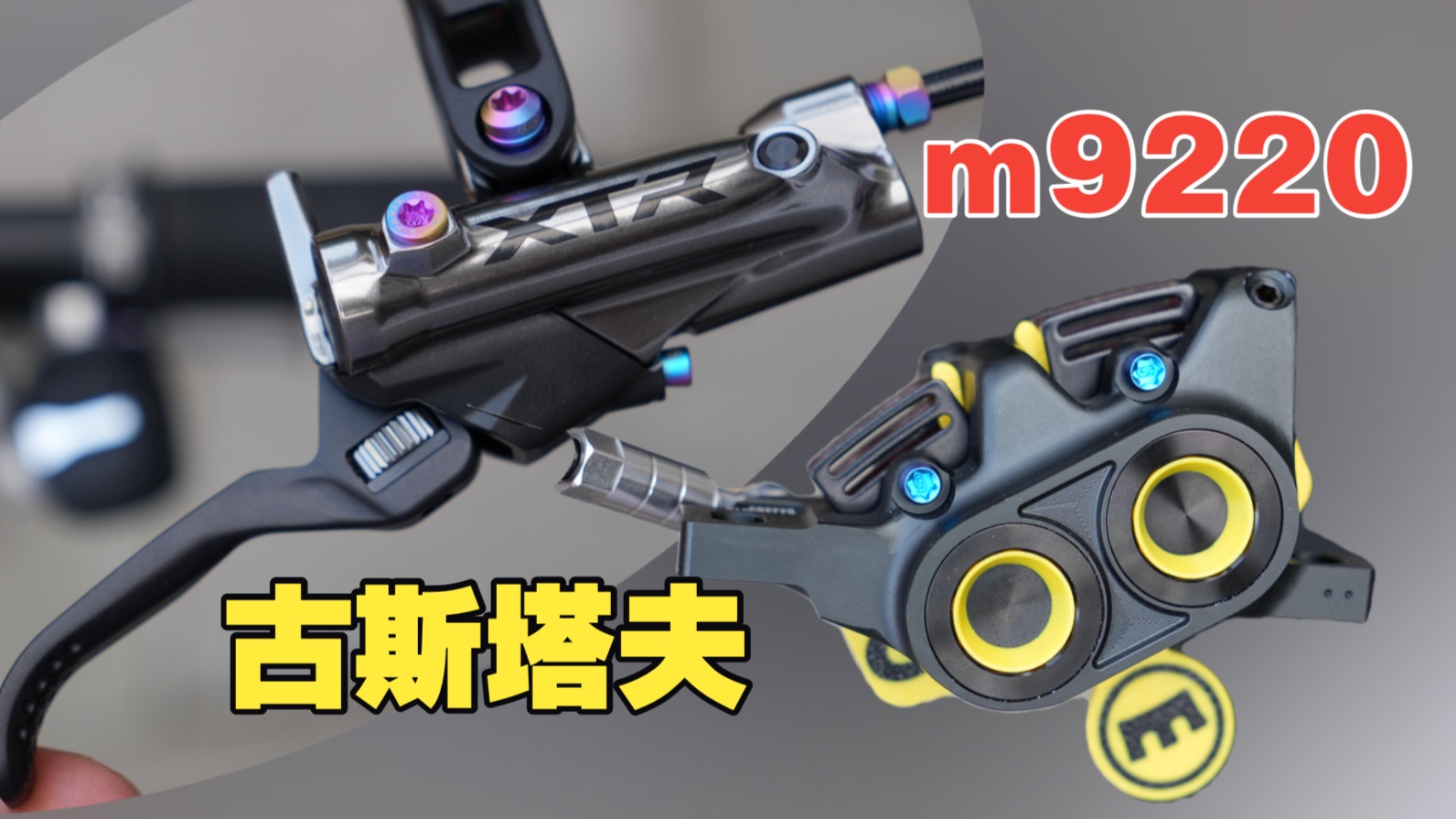 禧古拉杂交:m9220杂交古斯塔夫