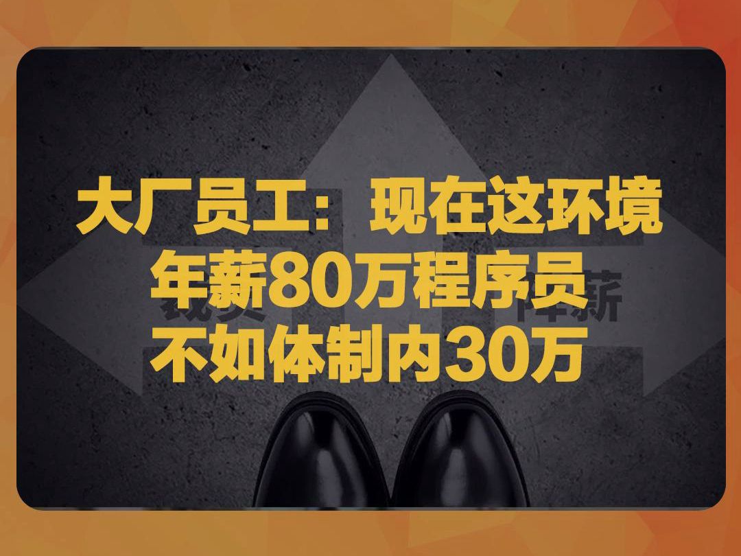 大厂员工:现在这环境,年薪80万程序员不如体制内30万哔哩哔哩bilibili