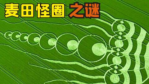 麦田怪圈的真相 哔哩哔哩