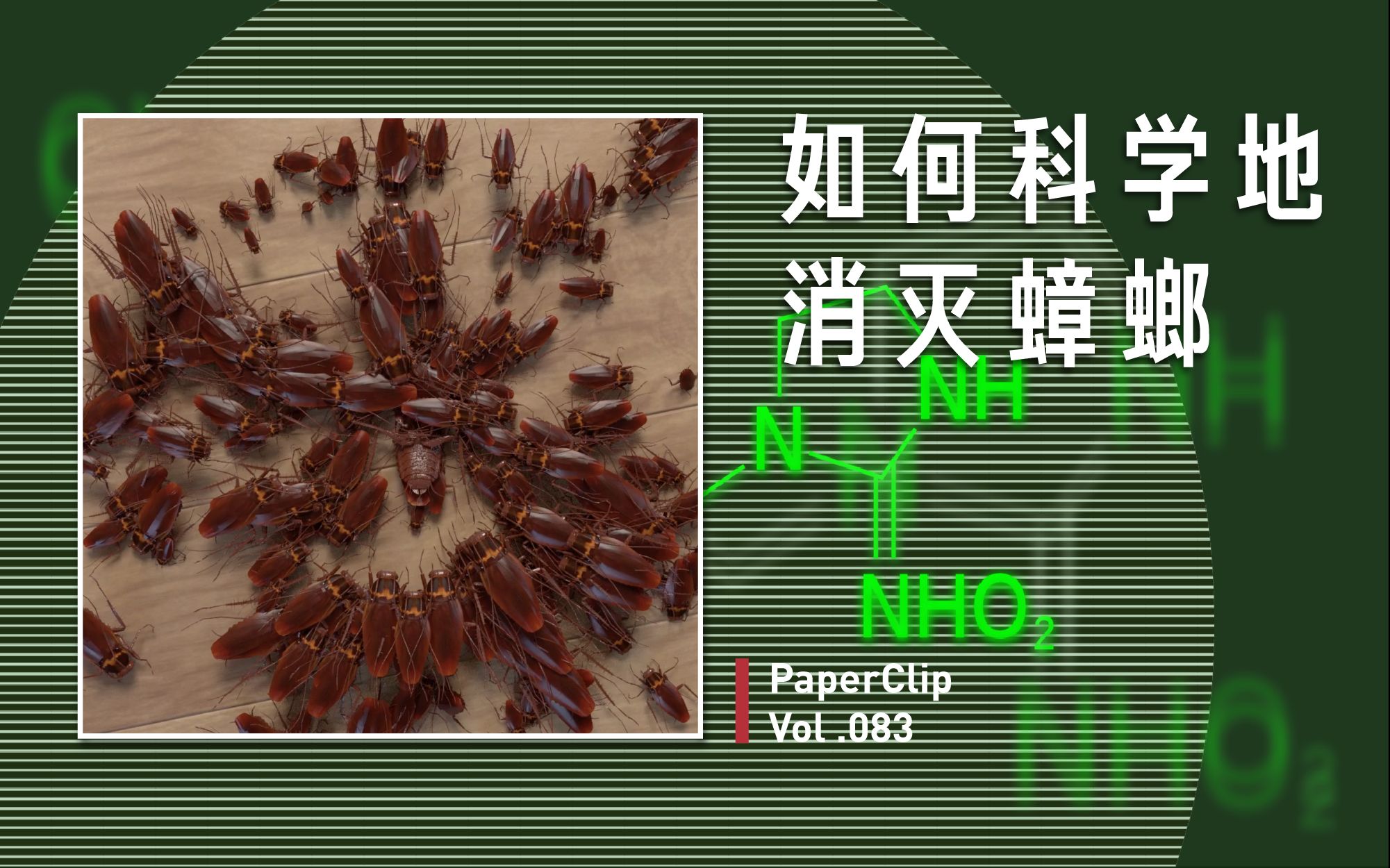 回形针paperclip如何科学地消灭蟑螂