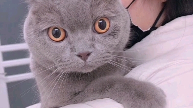 孙芮,芮哥哥提前祝大家新年快乐_哔哩哔哩 (゜-゜)つロ 干杯~-bili