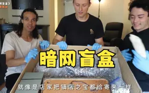 花1千美刀买下暗网超大盲盒，究竟能开出什么