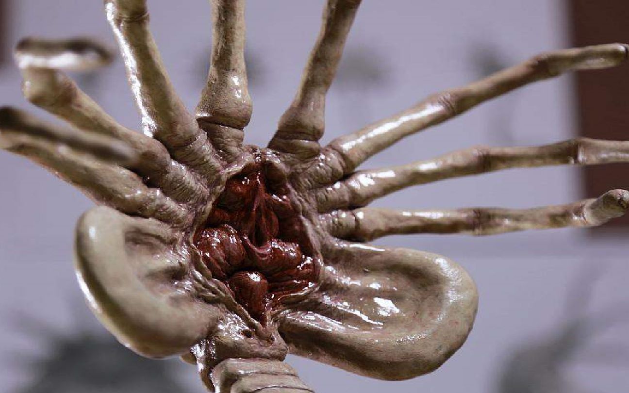 峡谷抱脸虫_哔哩哔哩_bilibili