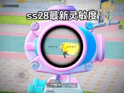 Descargar video: ss28最新灵敏度来了