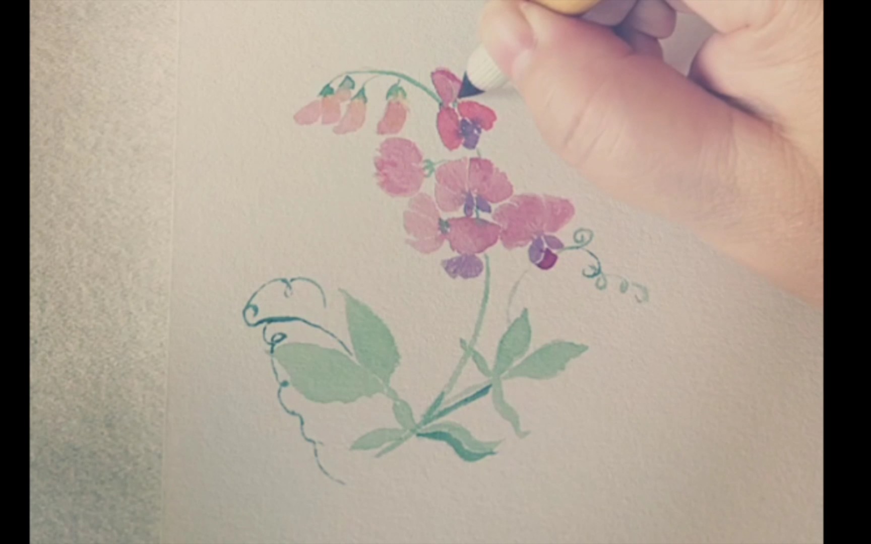 可爱的小豌豆花怎么画图片