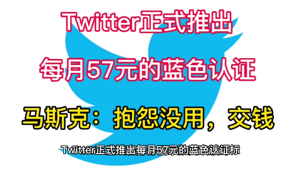 Twitter正式推出每月57元的蓝色认证标,马斯克:抱怨没用,交钱哔哩哔哩bilibili