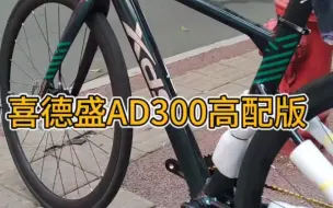 Download Video: 喜德盛AD300公路车高配版