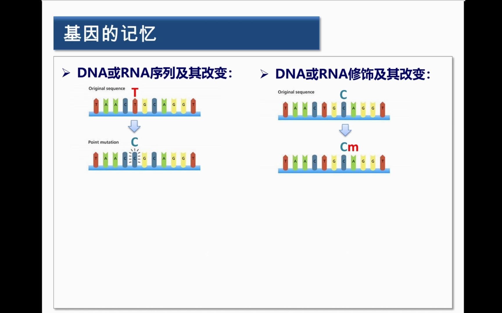 翟琦巍课题组:基因的记忆与代谢疾病 @上科大生命学院/中国科学院上海营养与健康研究所哔哩哔哩bilibili