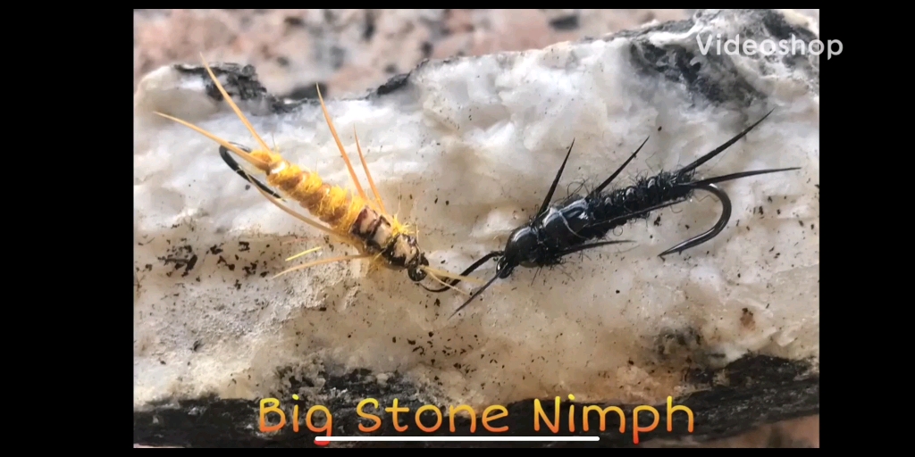 [图]Big Stonefly Nymph di Stefano Ticchiati #ACASACONILGATTO