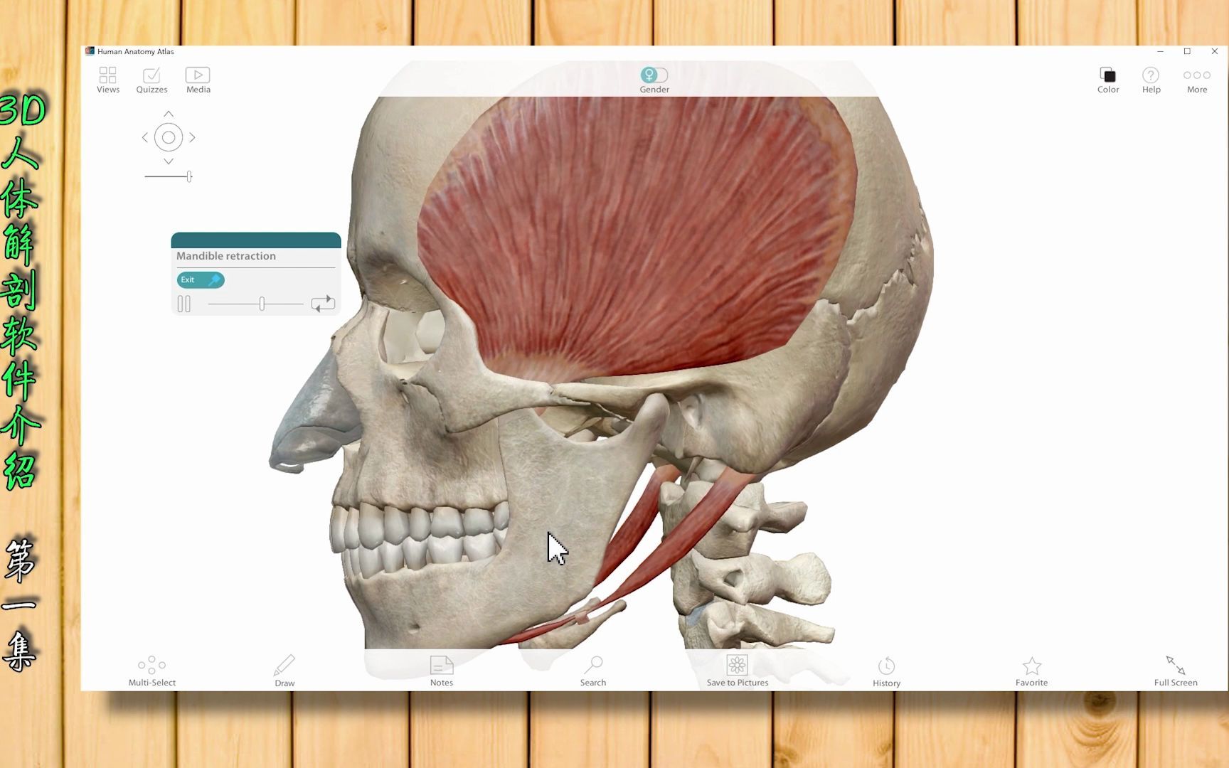 3D解剖软件介绍第1集Human Anatomy atlas哔哩哔哩bilibili