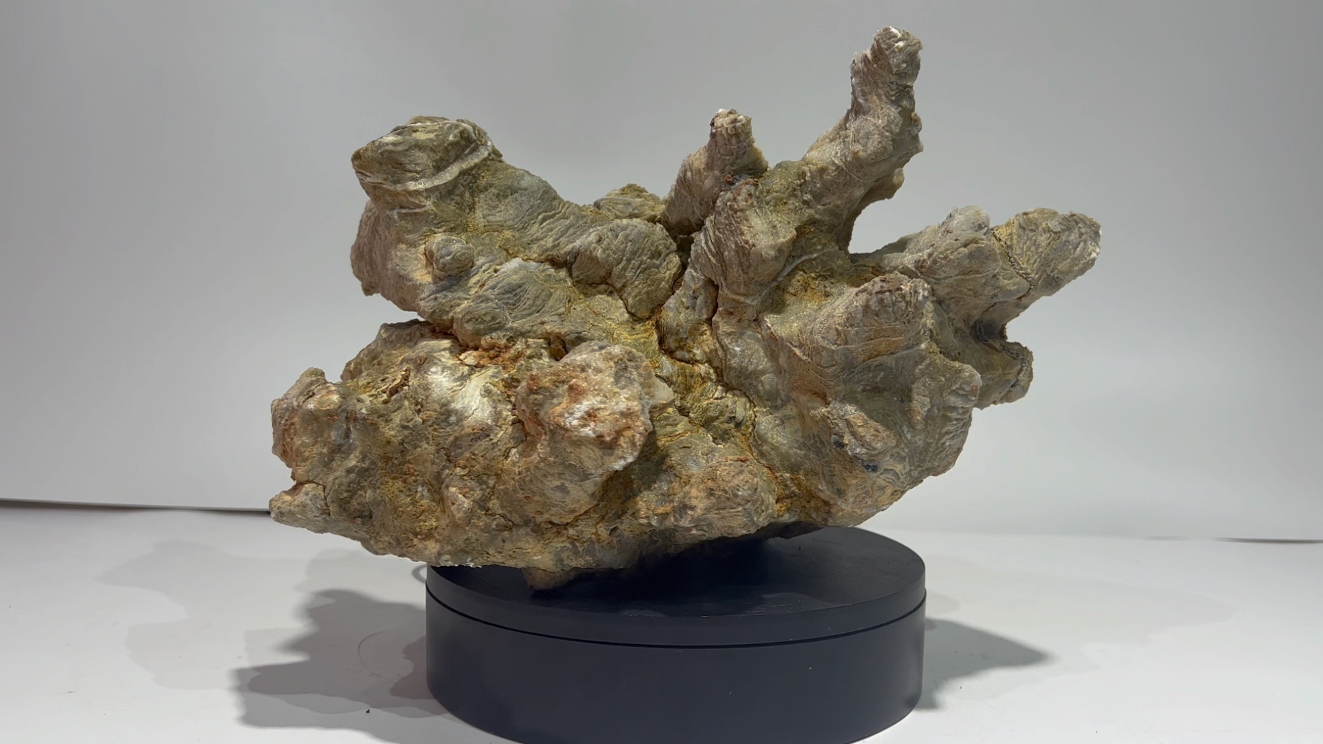 灵璧黄皖螺原石