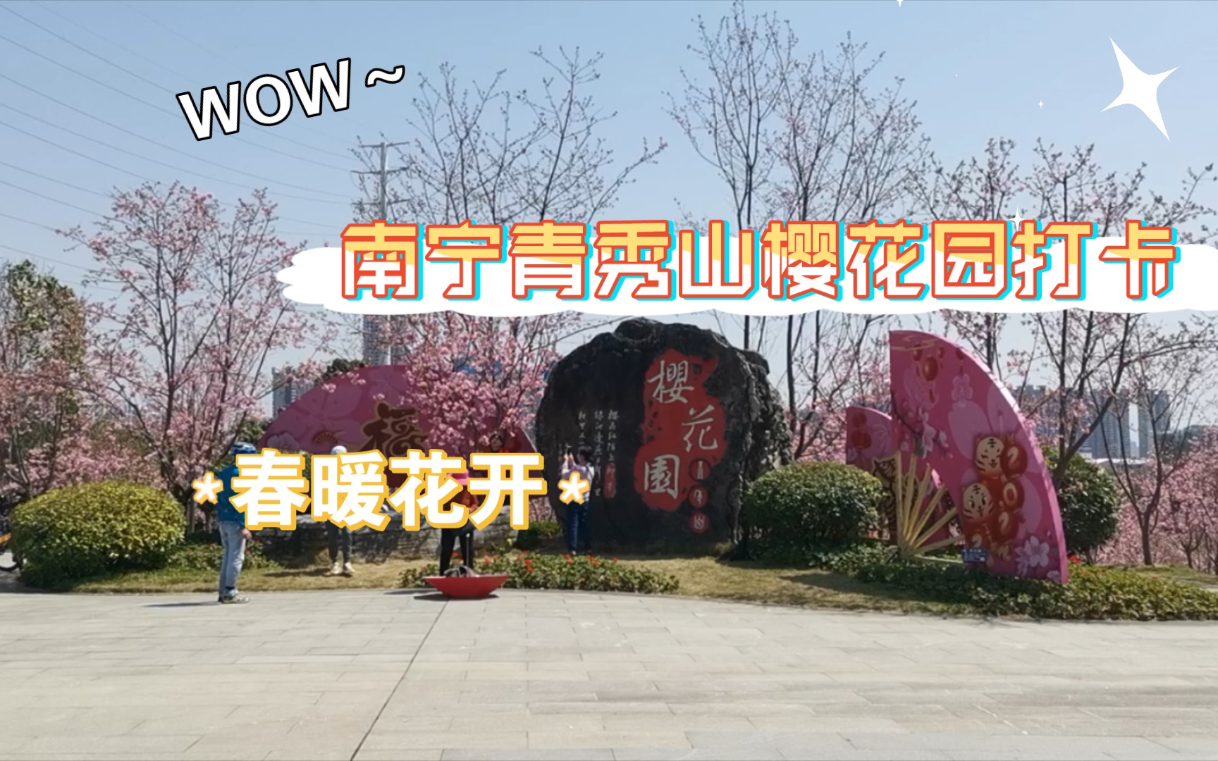 打卡南宁青秀山公园樱花园,春暖花开,2022年南宁市春天哔哩哔哩bilibili