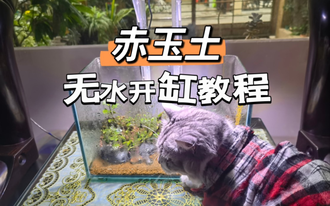 赤玉土无水开缸种水草两个月的体验,某多多十块钱五斤能否实现平替