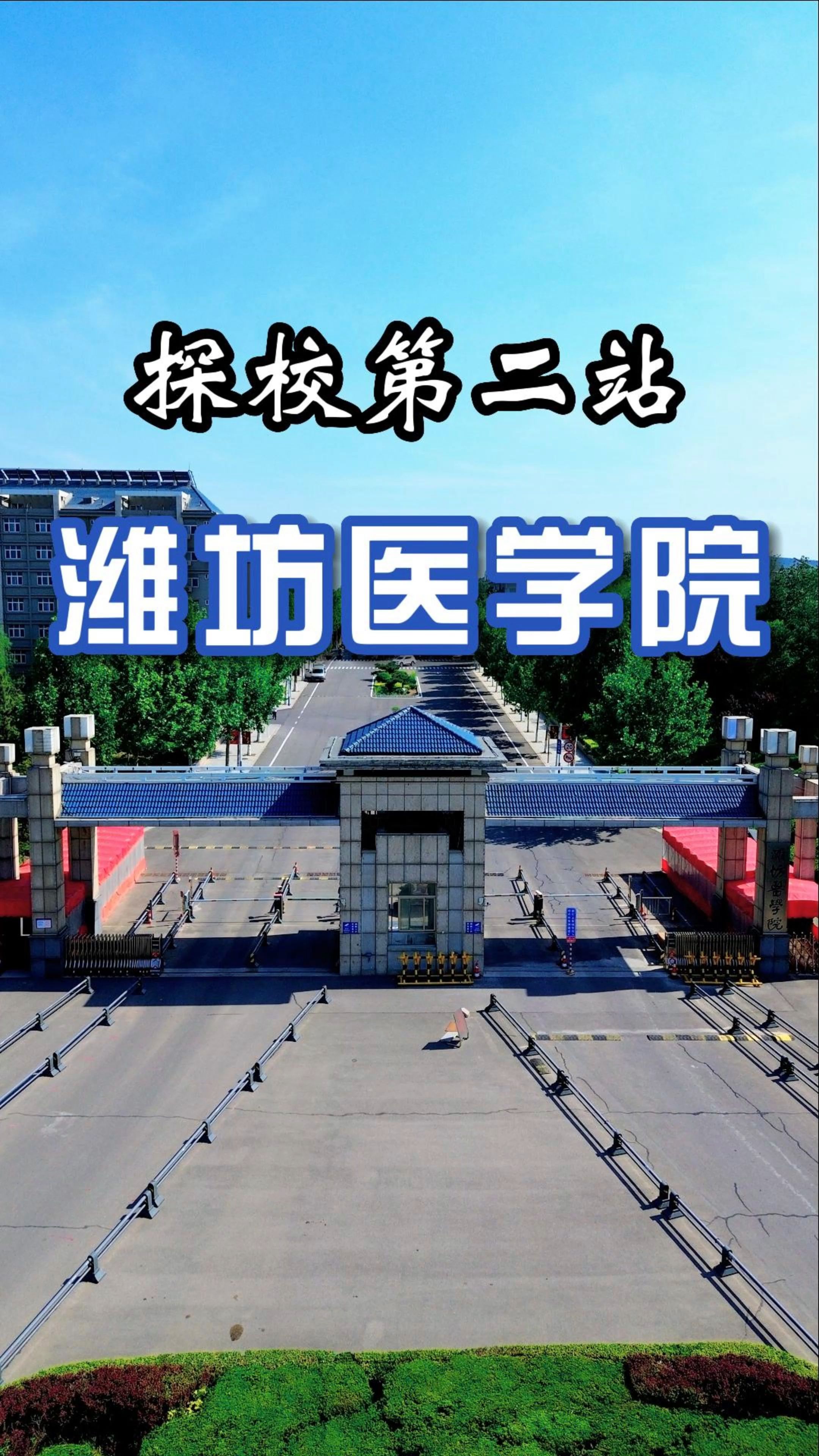 潍坊医学院哔哩哔哩bilibili