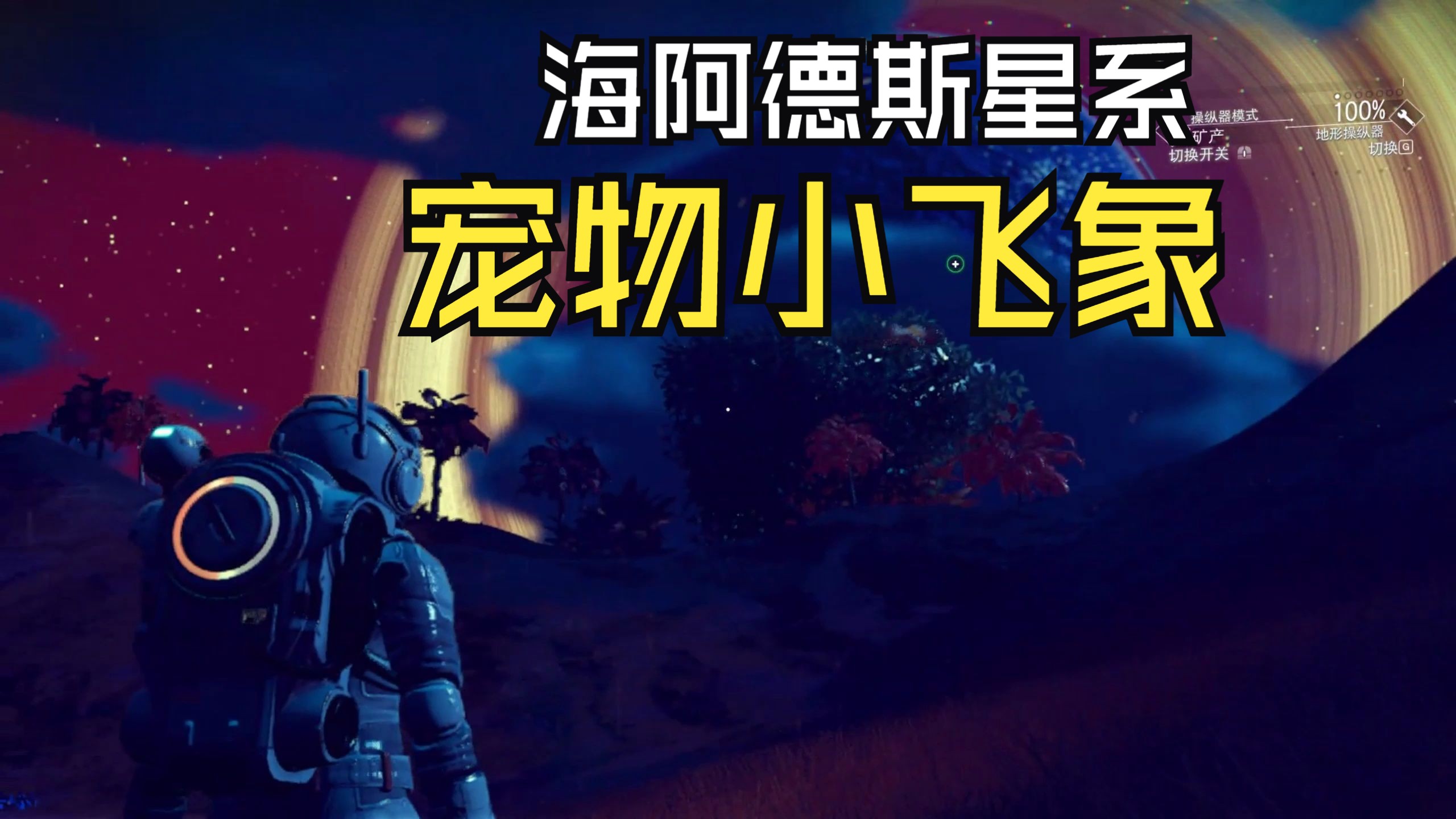 【无人深空】宠物小飞象 坐标海阿德斯星系