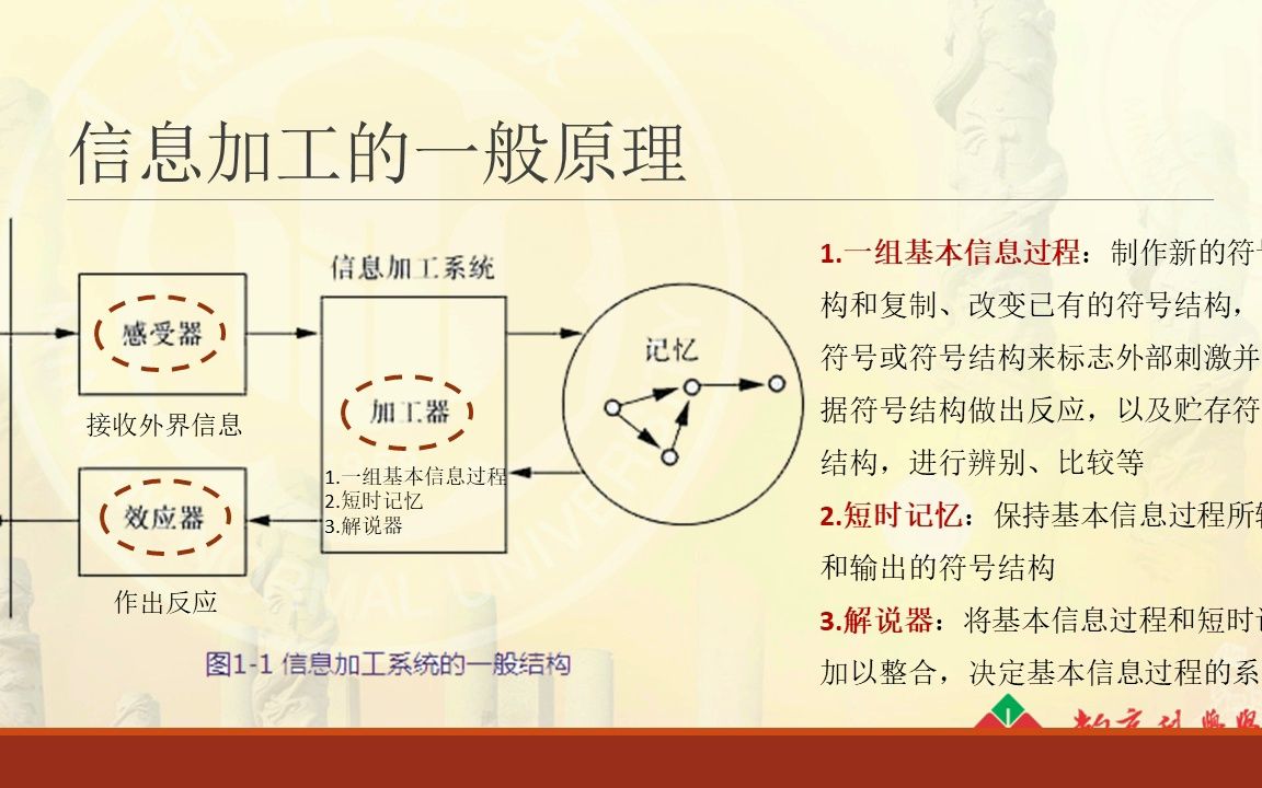 认知心理学第01章课堂版哔哩哔哩bilibili