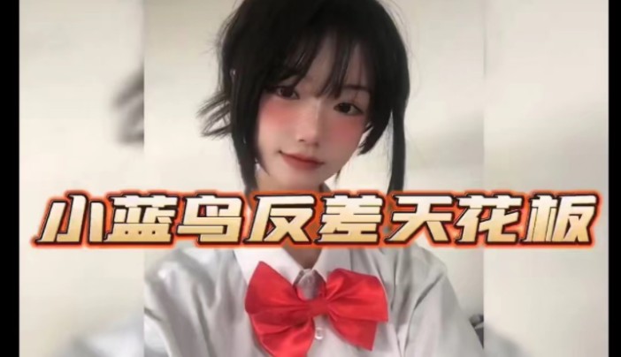 小蓝鸟反差天花板!高质量盘点