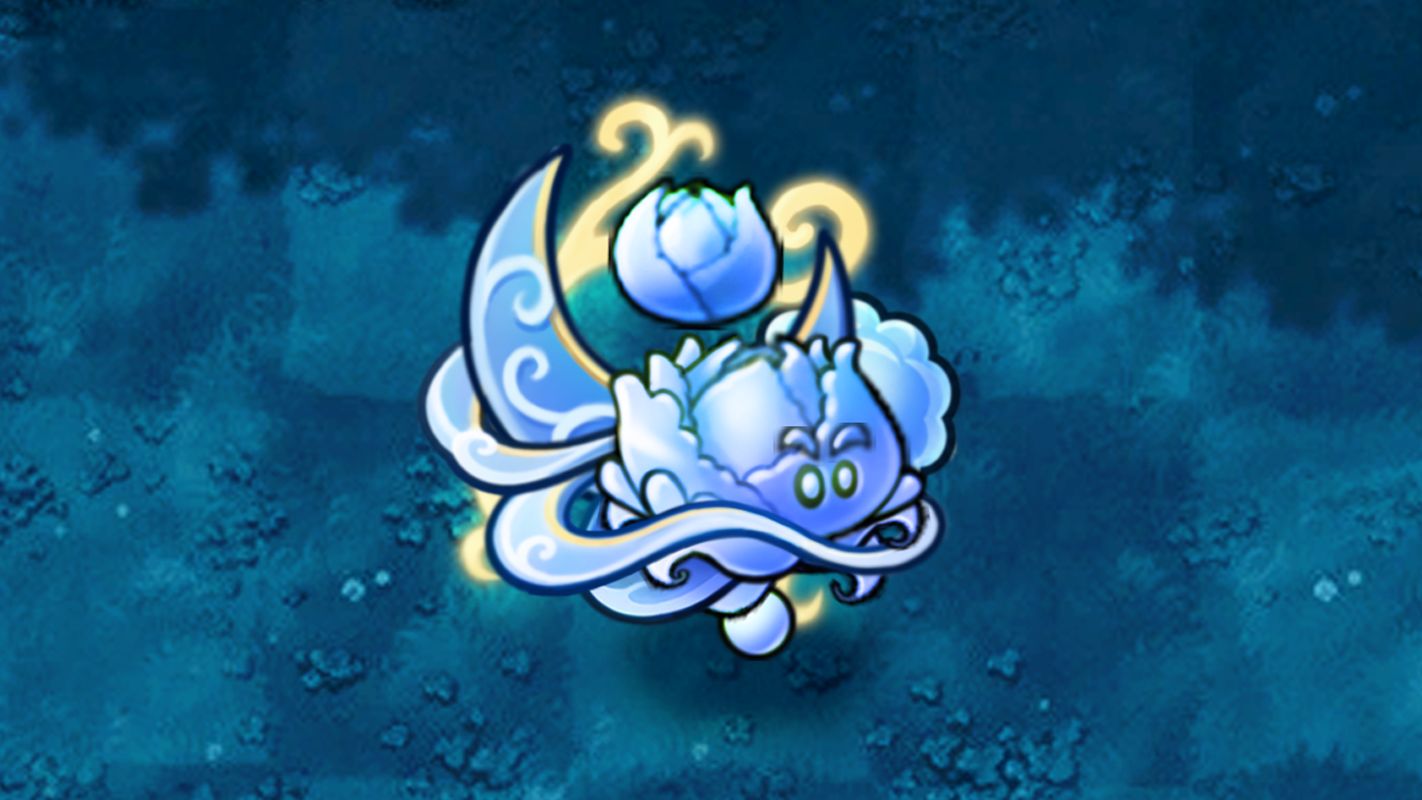 秋宵月神卷心菜！