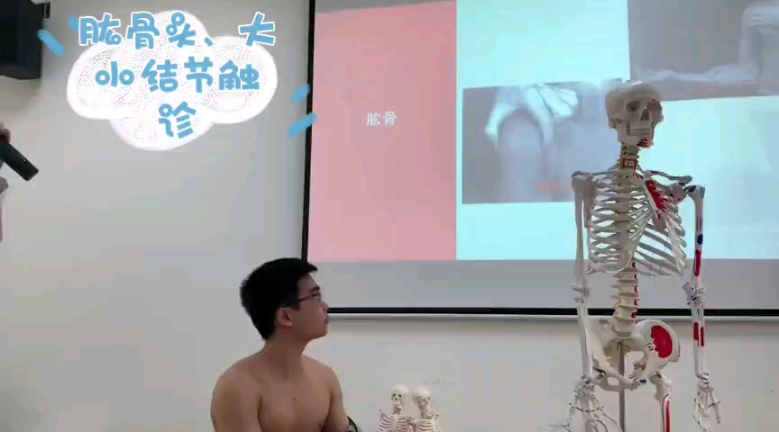 肱骨头、大小结节触诊哔哩哔哩bilibili